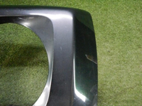 DSCN6309.jpg
