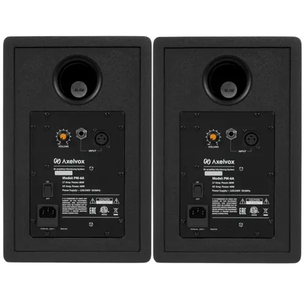 Акустическая система  Axelvox PM-6A