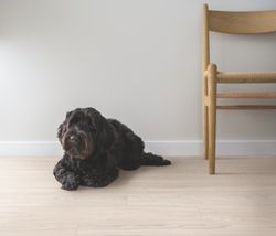 Kalmar Дуб лагом светло-бежевый, 1,835 м²