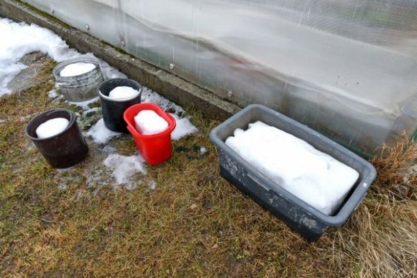 Талая вода для рассады: разбираем мифы и открываем реальные преимущества Талая вода для рассады: разбираем мифы и открываем реальные преимущества