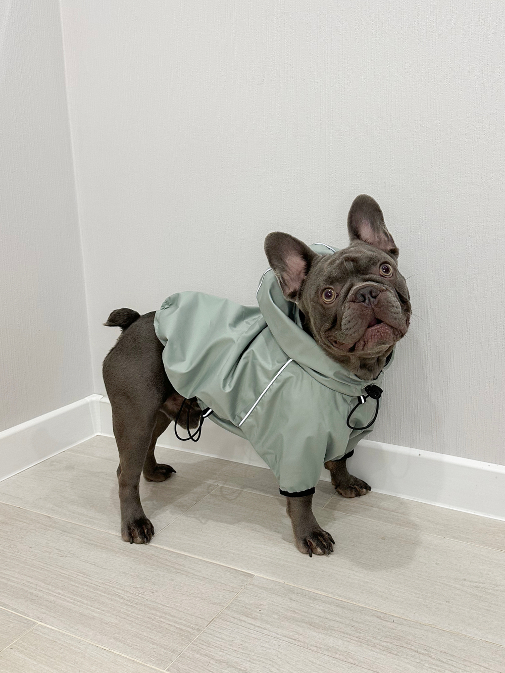 Универсальная куртка дождевик для собак Монморанси, цвет олива, размер L