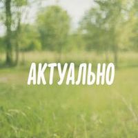 Актуальное