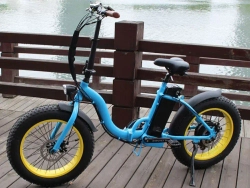 Электро фэтбайк Volteco BigCat Dual New