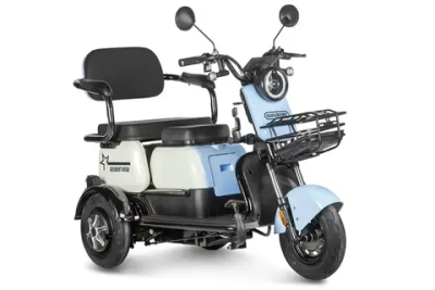 Электротрицикл Gelbert Vega 48V/60V 600Вт