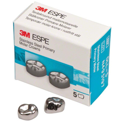 Первый нижний левый моляр, размер 3 (D-LL-3)