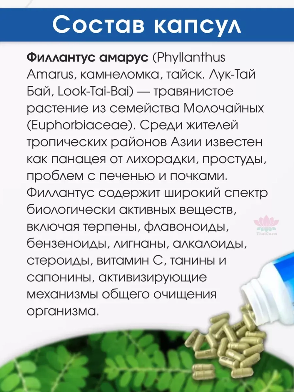 Капсулы Лук Тай Бай Номер 1 для печени и желчного