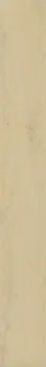 WONDEFUL LIFE HONEY (ВАНДЕФУЛ ЛАЙФ ХАНИ) 1600*200 керамогранит, натуральный