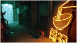 Игра Stray (PS5, русские субтитры)