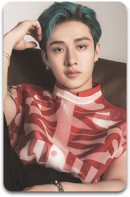 Карта / STRAY KIDS #3153