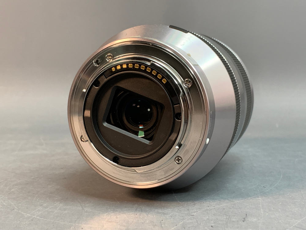 Sony E 18-200mm 3.5-6.3 OSS внутри грибок