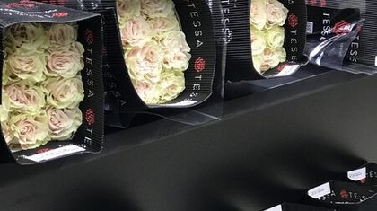 Как «отпоить» живые цветы после хранения