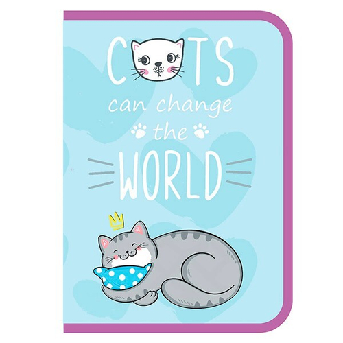 Папка для труда А4 с вкладышем молния вокруг пластик "Сонный котик"