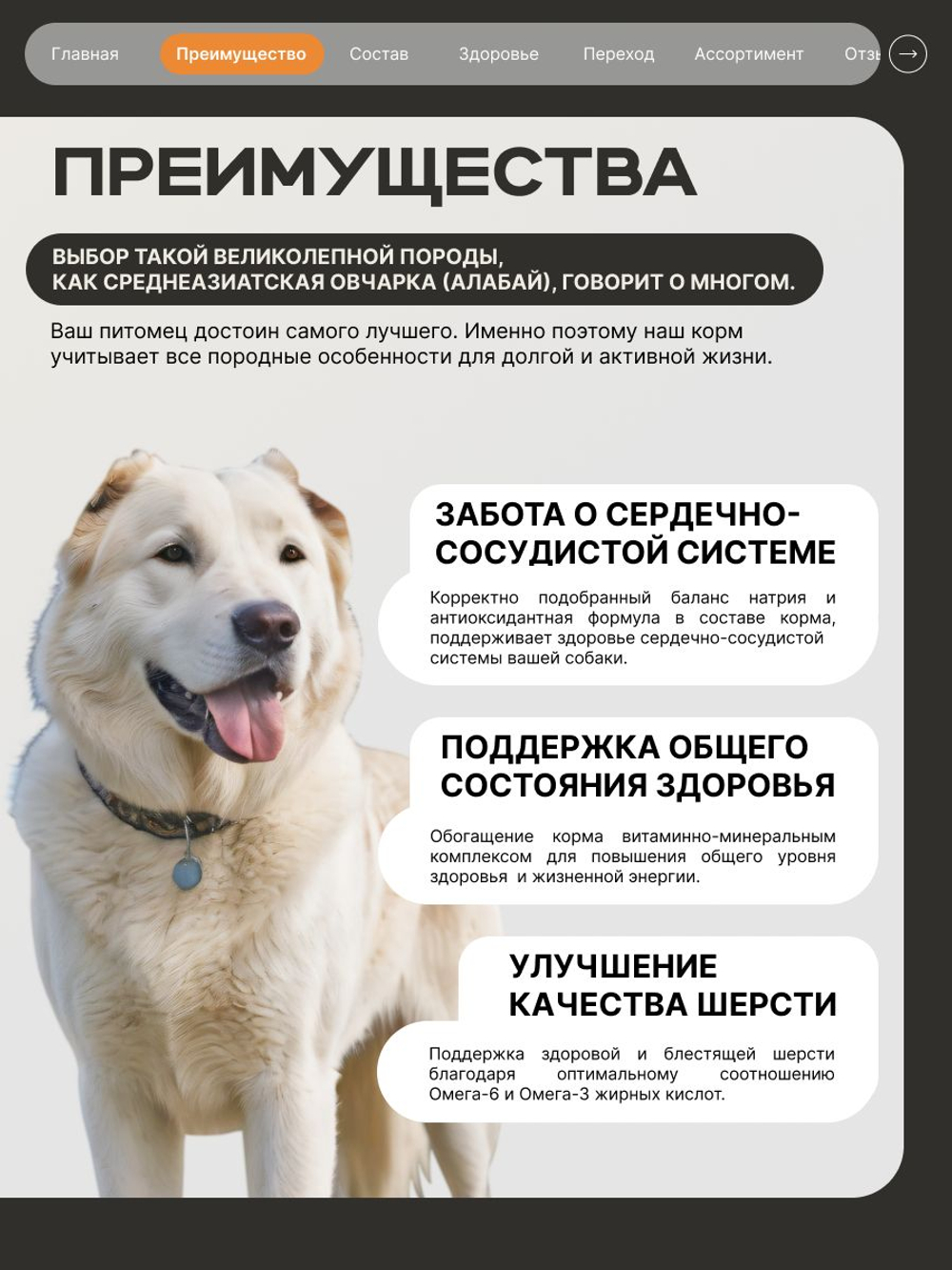 Корм сухой для взрослых собак породы Среднеазиатская овчарка (Алабай), премиум полнорационный комплекс, с индейкой, 12 кг, QUATTRO