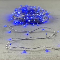 Светодиодная гирлянда с возможностью динамики 20 м., 200 синих LED ламп, 24V., прозрачный силиконовый провод, IP65, Beauty Led (EST200-3W10-1B)