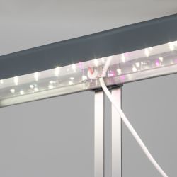 Настольный светильник для растений ЭРА FITO-20W-QLED-G полного спектра 20 Вт серый