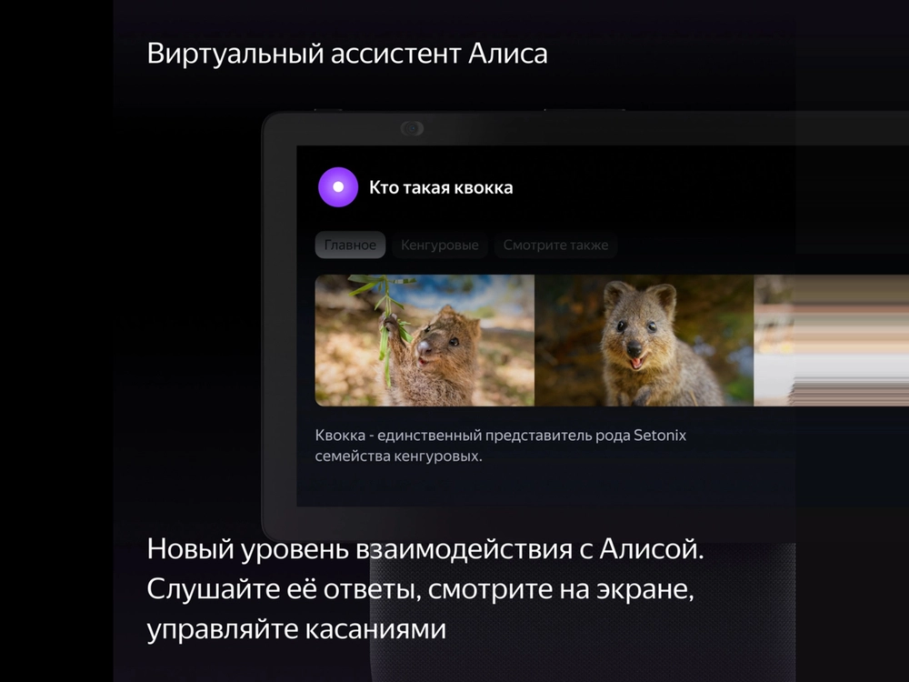 Умная колонка Яндекс Станция Дуо Макс с Алисой (60 Вт, Bluetooth 5.2, Wi-Fi, Zigbee, Дисплей), Черная
