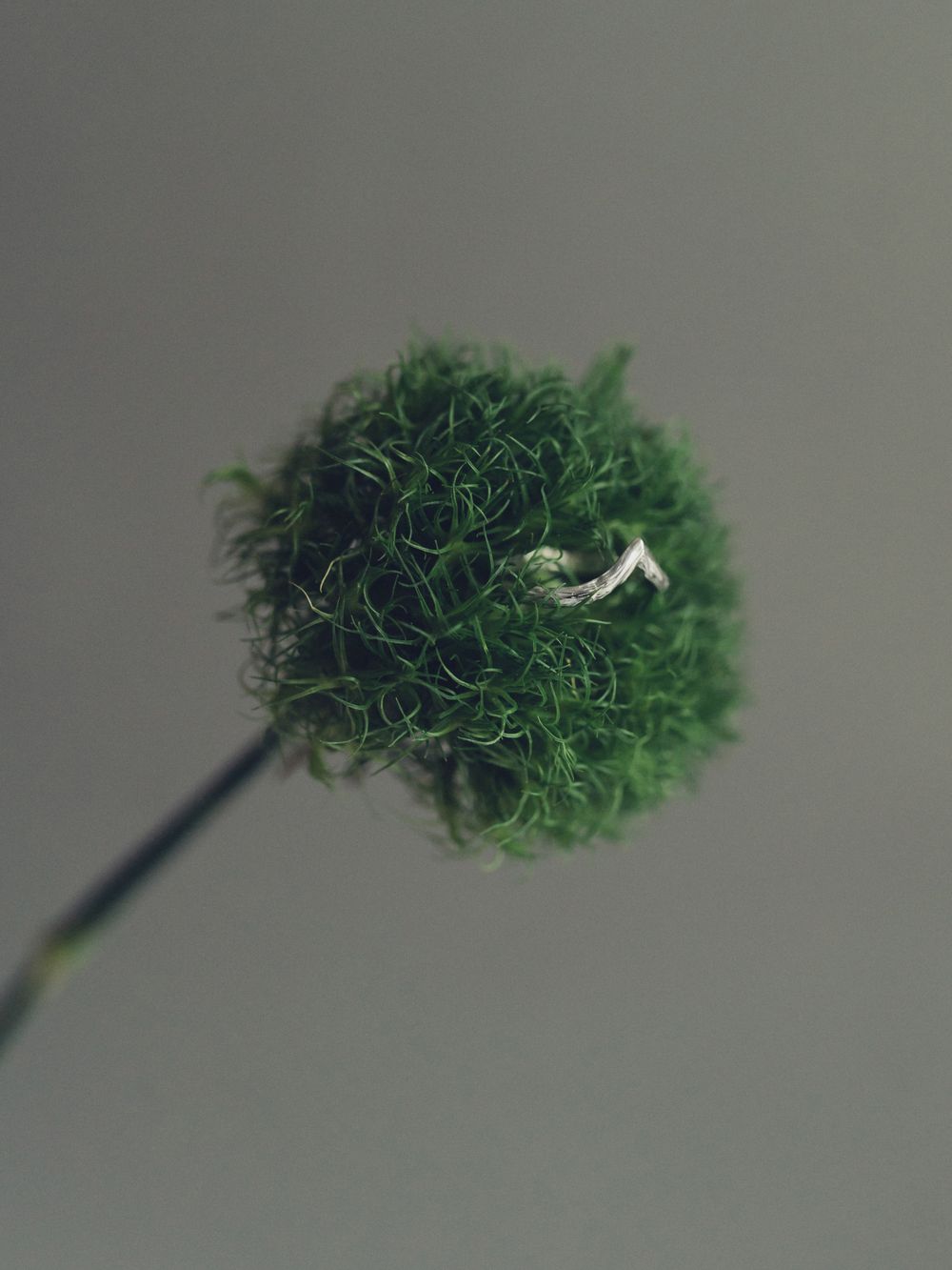 Кольцо фактурное V