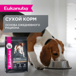 Корм для собак Eukanuba Adult All Breed влажный рацион с ягнёнком в соусе 100г