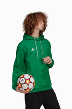 Кофта adidas Entrada 22 Sweat