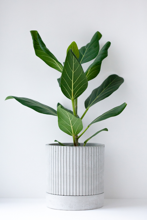 Цилиндр "Линии", серый, д 15