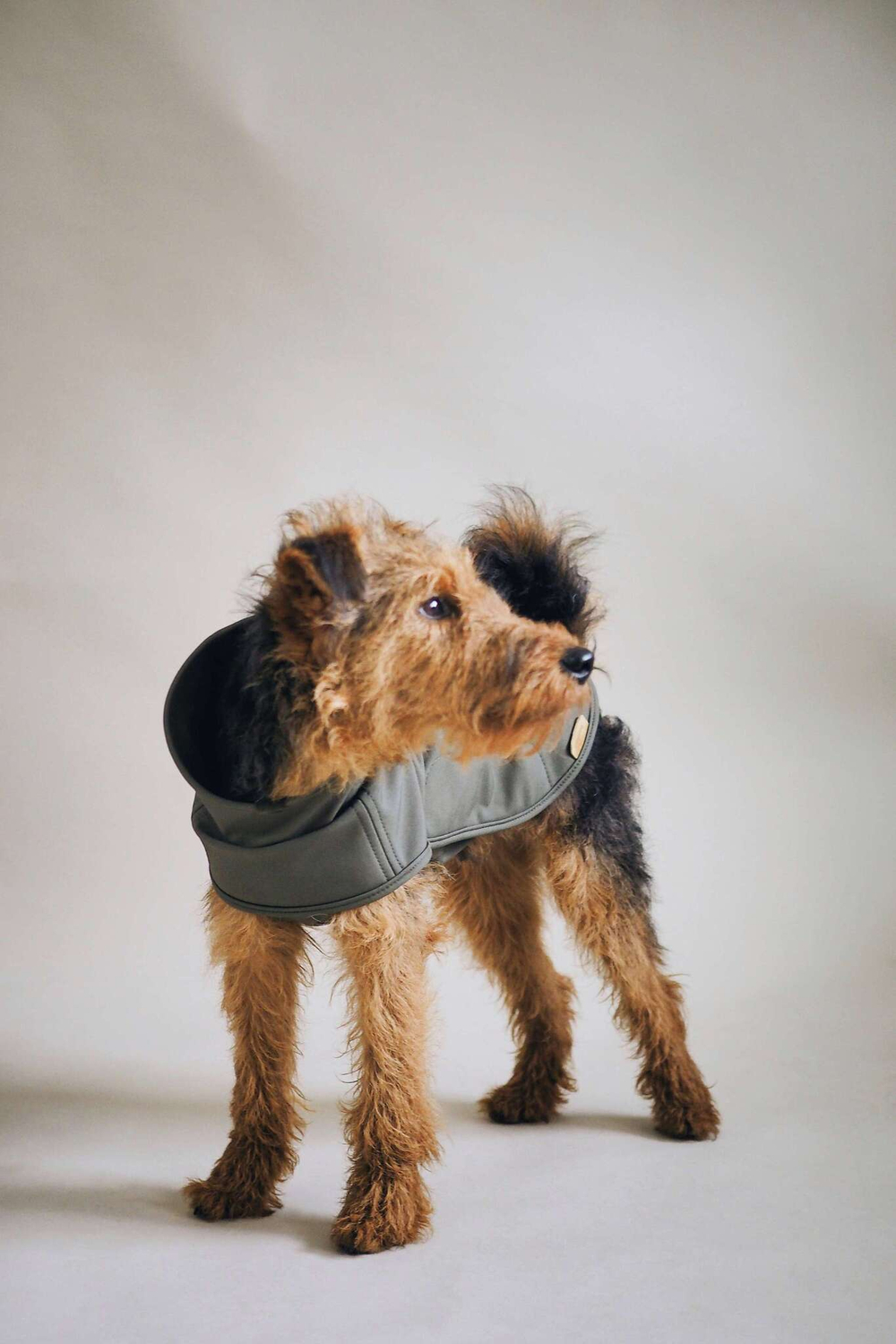 Попона "Пони-попони" хаки