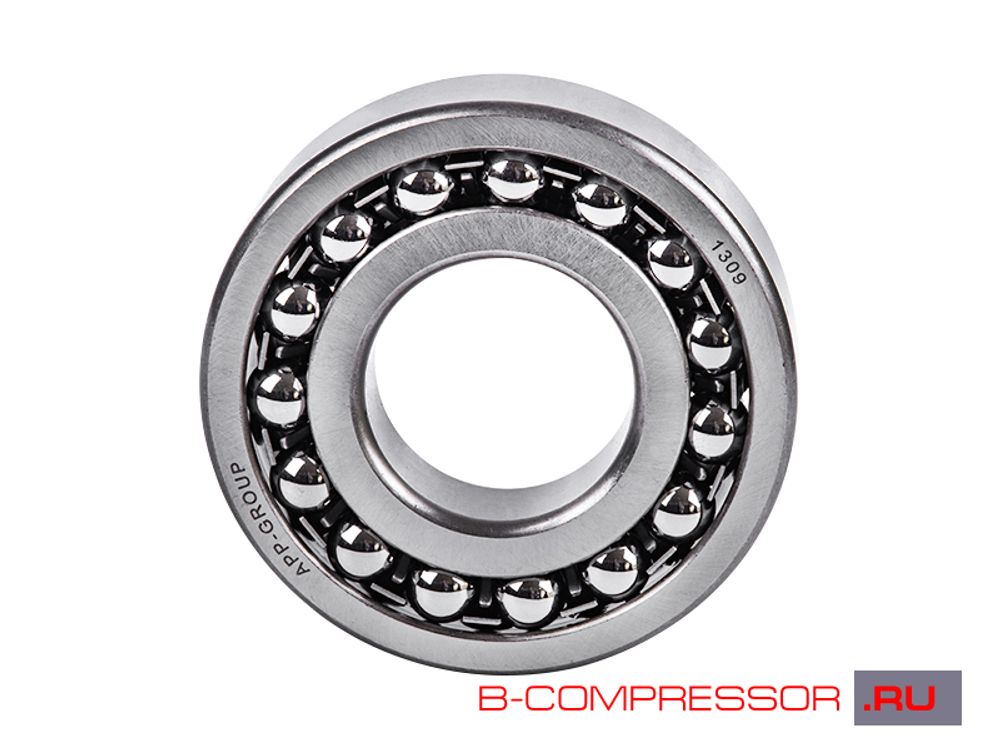 Подшипник 1309