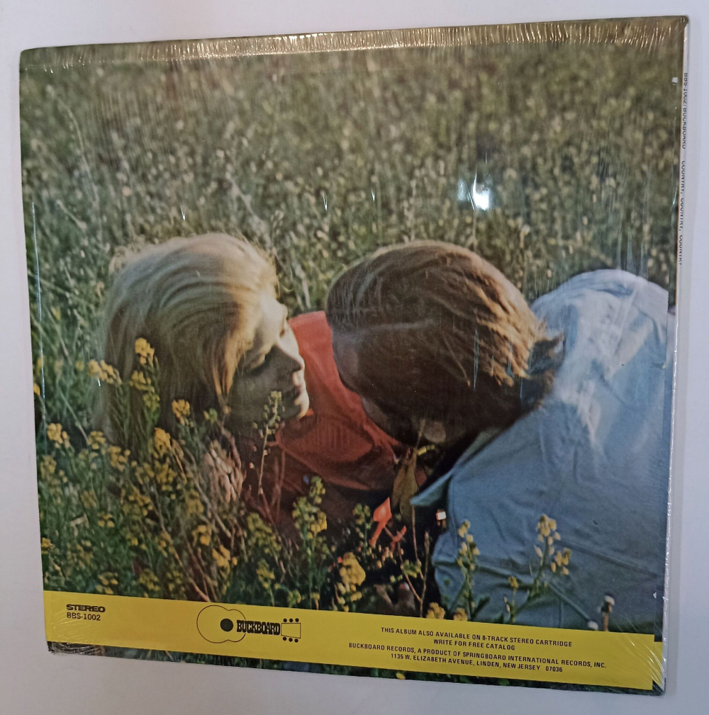Винтажная виниловая пластинка LP The Nashville 10 Expansion Singers Country (USA 1975)