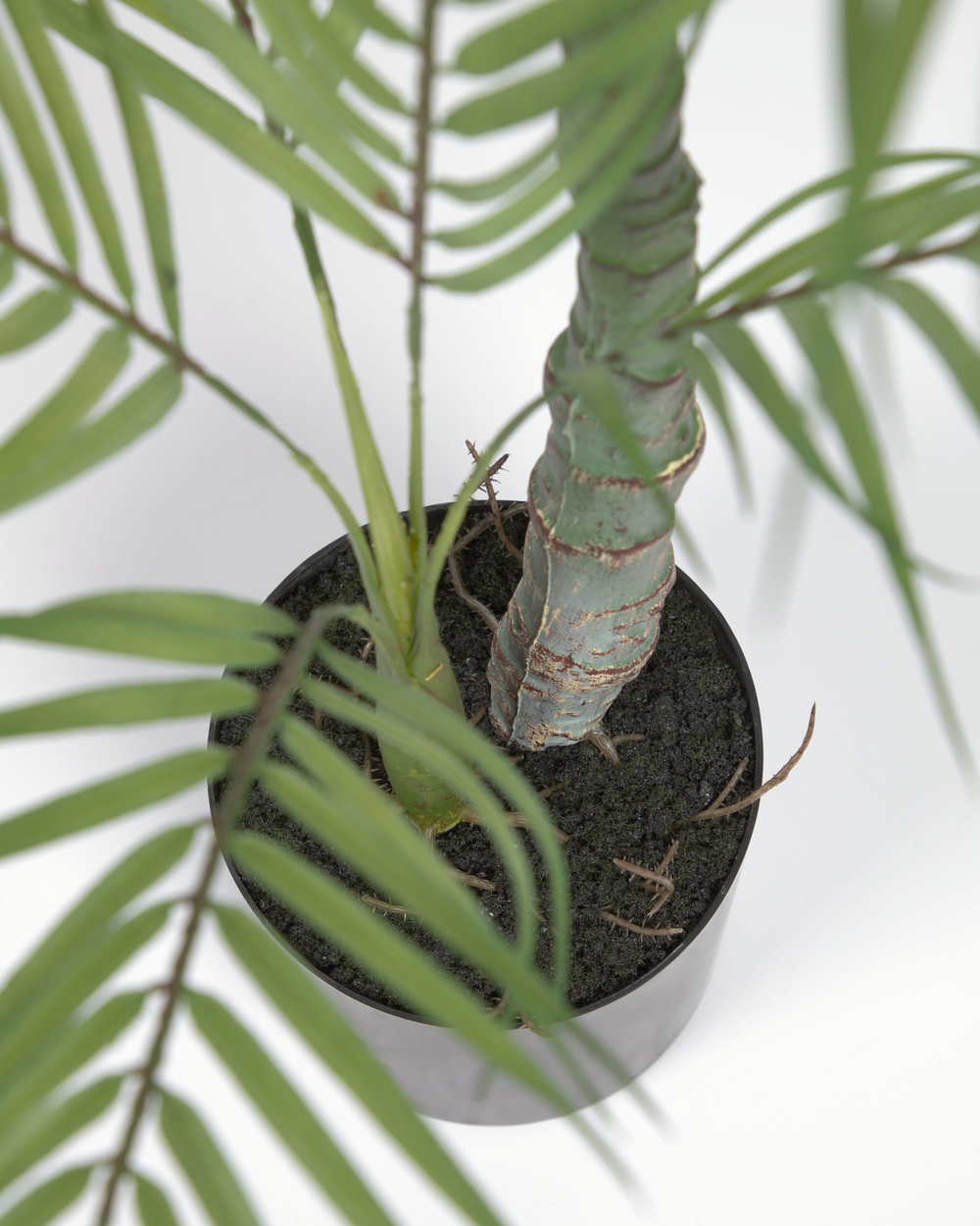 Пальма искусственная Palmera с черным горшком 70 см