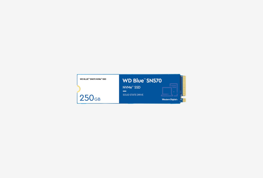 WDS250G3B0C_0126709110325