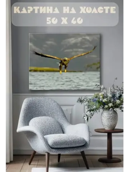 Картина на стену 40 X 50 Хищная птица