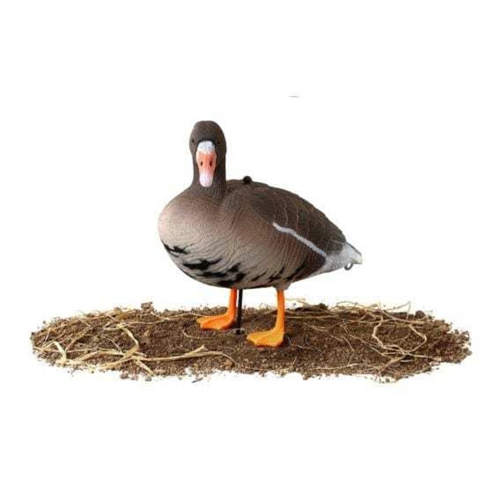 Комплект чучел Белолобый гусь (10шт) 3D "Softplast" B10S-3D