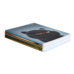 Тетрадь, 48 л, клетка, КОТЯРЫ /А5