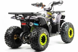 Квадроцикл Motoland 125 WILD (2020 г.)