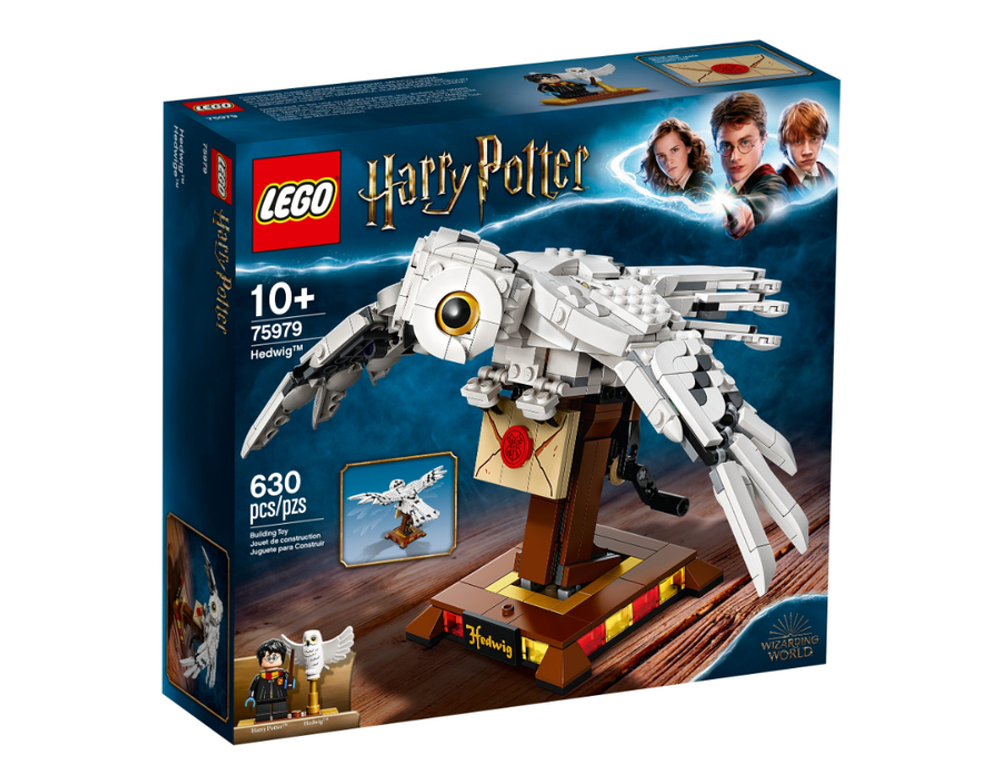 Конструктор LEGO Harry Potter 75979 Букля