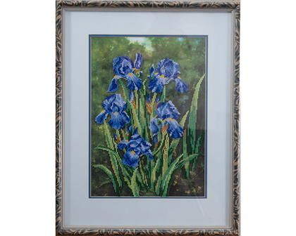 Ирисы