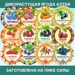 Саган-Дайля.