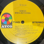 Виниловая пластинка Genesis ‎– Wind & Wuthering LP