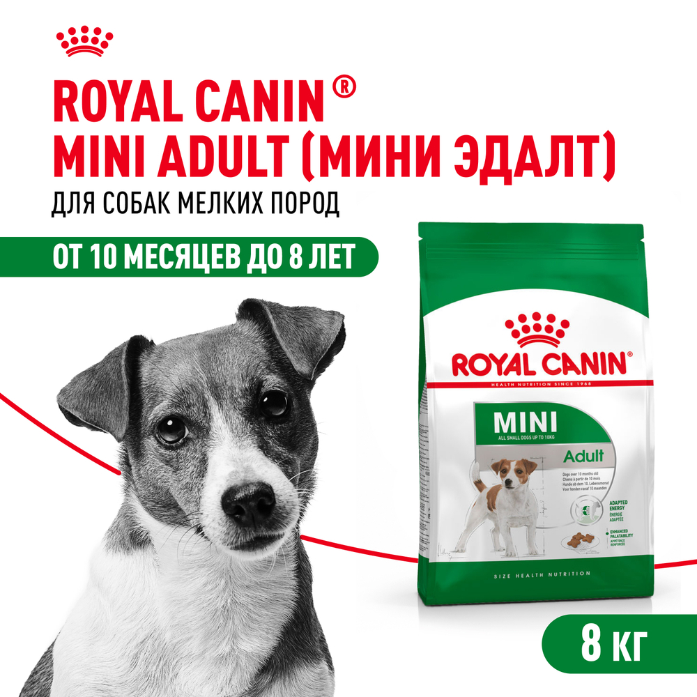 Royal Canin Mini Adult Корм сухой для взрослых собак мелких размеров от 10 месяцев - 8 кг