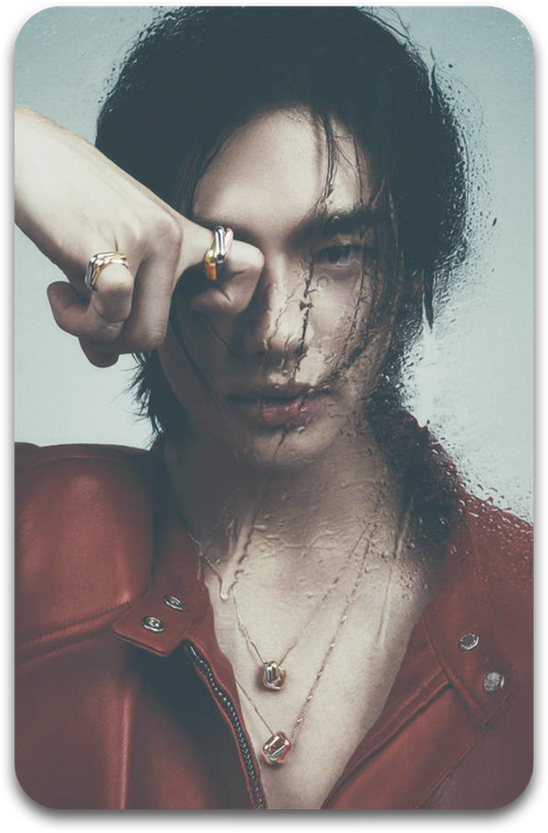 Карта / STRAY KIDS #1230