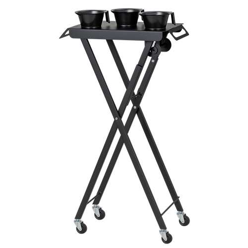 Тележка колориста Т-171