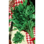 Семена Петрушка Москвичка - листовая (УД) Е/П