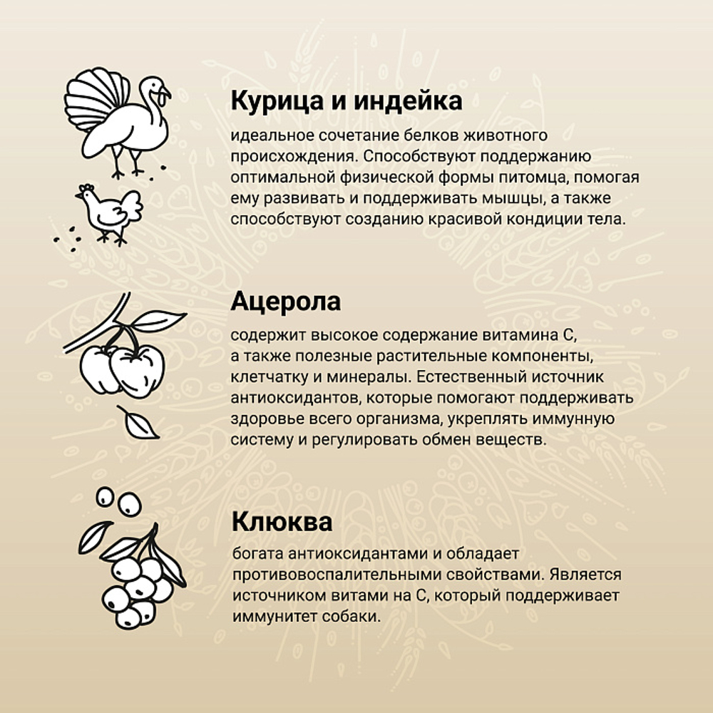 Сухой корм CRAFTIA NATURA для взрослых собак средних и крупных пород из курицы и индейки 640 г