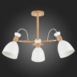 Светильник потолочный Evoluce Balcamo SLE103802-03