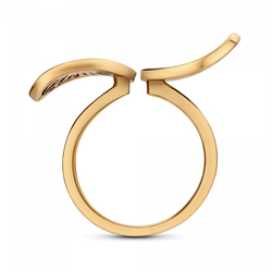 Кольцо ERBARIO