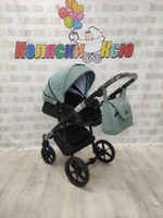 Коляска модульная Adamex Nola N-PS122