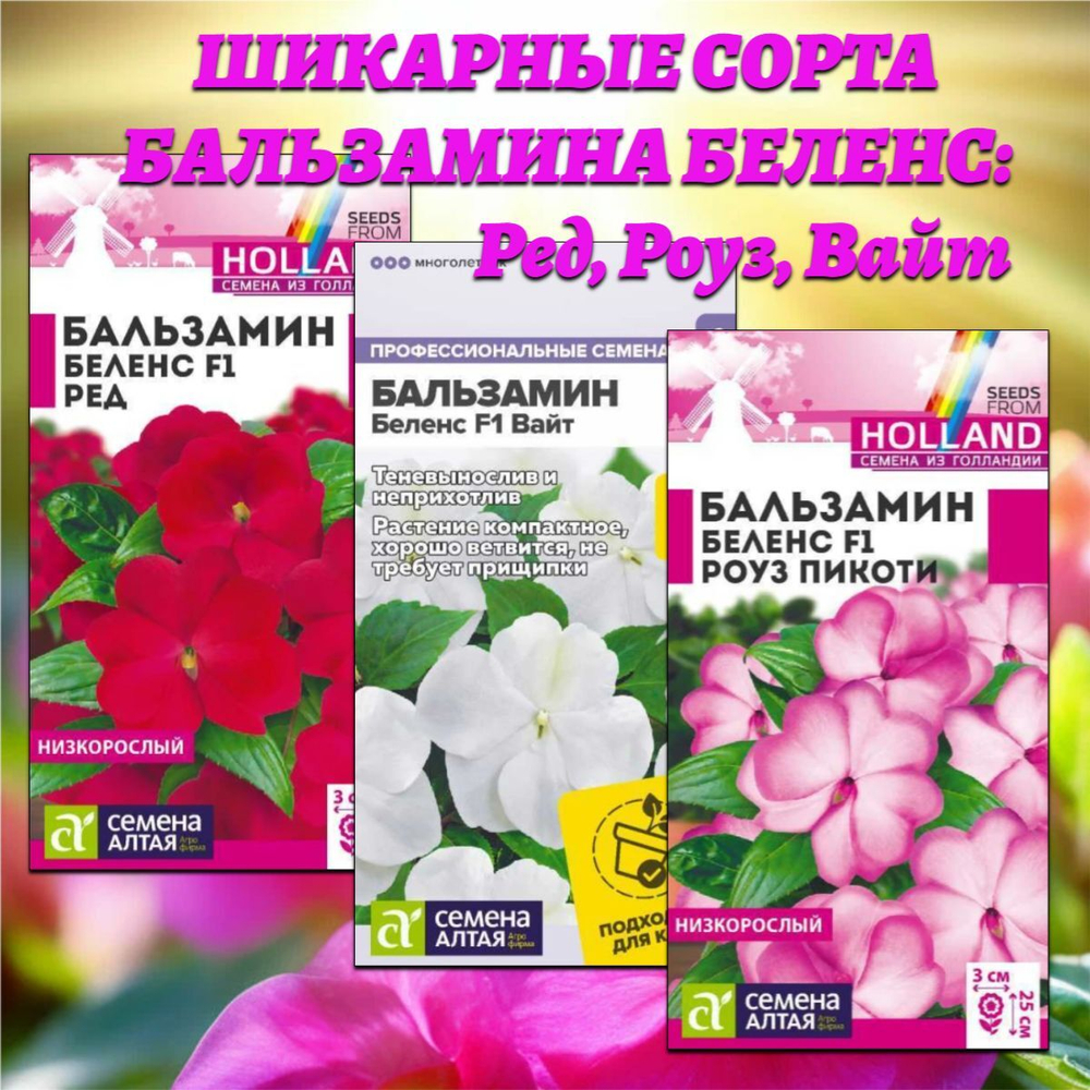 Шикарные сорта бальзамина Беленс: Ред, Роуз пикоти, Вайт