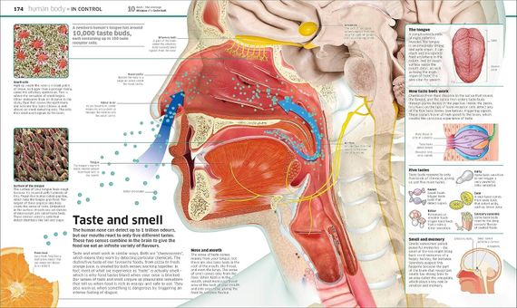 Knowledge encyclopedia