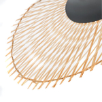 Подвесной светильник Arte Lamp WOODSTOCK A7063SP-1BK