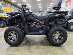 Квадроцикл PROMAX RENEGADE 300 LONG WINCH PRO (2025)