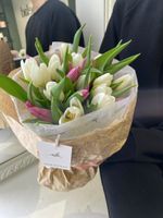 Букет из 25 тюльпанов белого и лавандового цвета